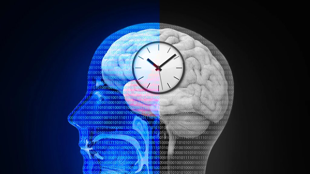 The hidden timing system that shapes how you think | ScienceDaily