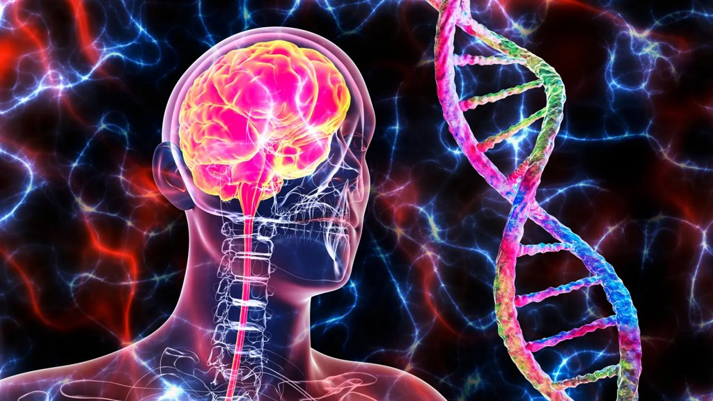Scientists discover a surprising cancer link to Alzheimer’s disease | ScienceDaily