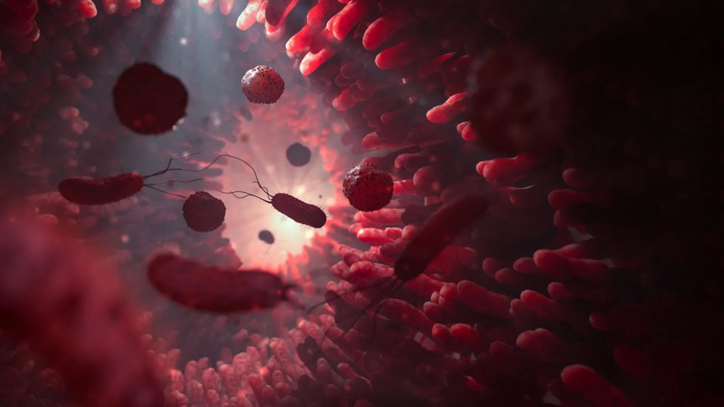 When gut microbes run low on fiber, they may start eating you | ScienceDaily