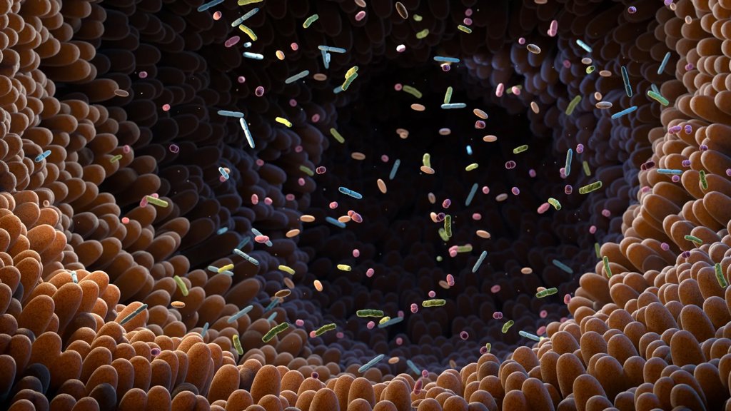 Gut molecule shows remarkable anti-diabetes power | ScienceDaily