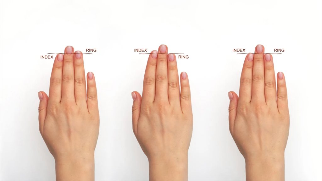 Your fingers may hold a secret of human brain evolution | ScienceDaily