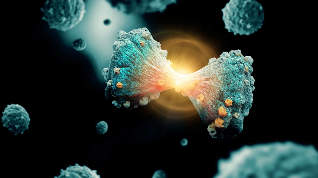 The hidden iron switch that makes cancer cells self-destruct | ScienceDaily