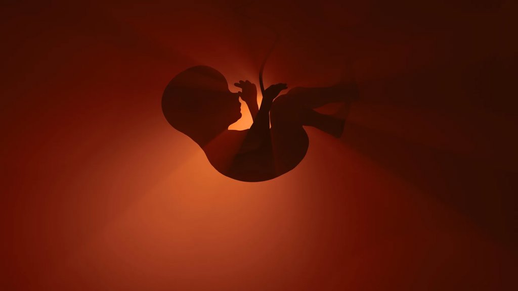 A popular “essential” medicine may be putting unborn babies at risk | ScienceDaily