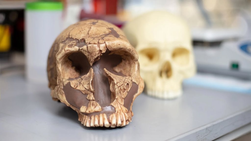 From poison to power: How lead exposure helped shape human intelligence | ScienceDaily