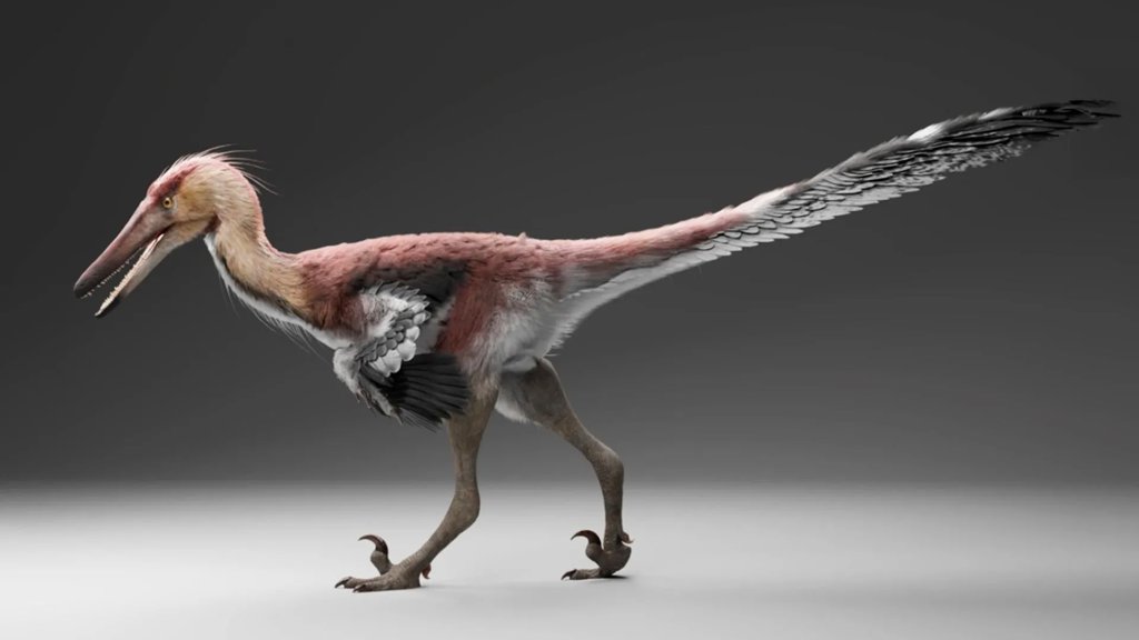 This newly discovered raptor may have hunted like a giant heron | ScienceDaily
