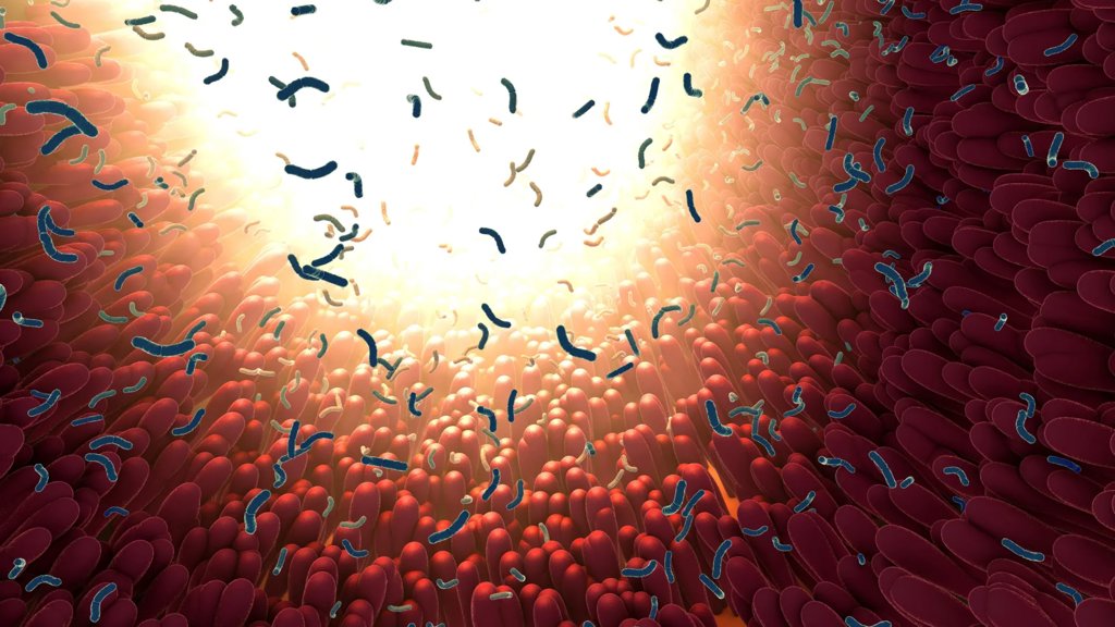 MIT scientists discover gut protein that traps and kills dangerous bacteria | ScienceDaily