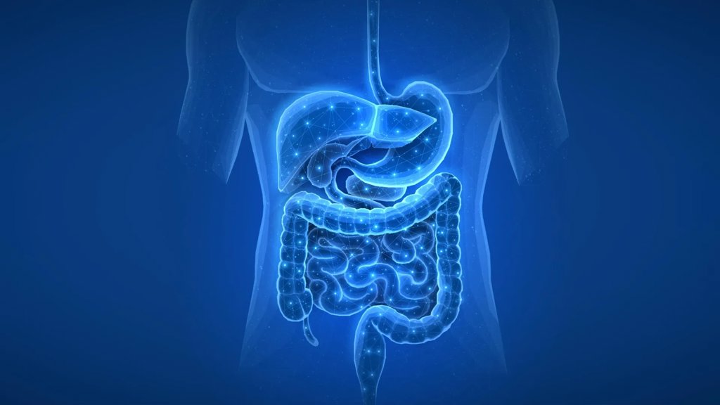 Common medications may change your gut for years | ScienceDaily