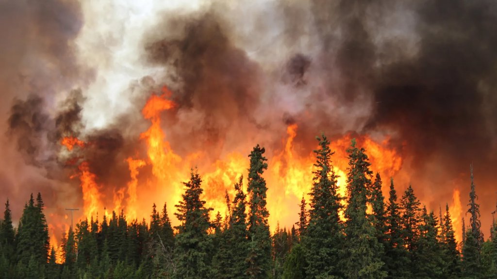 A 3,000-year high: Alaska’s Arctic is entering a dangerous new fire era | ScienceDaily