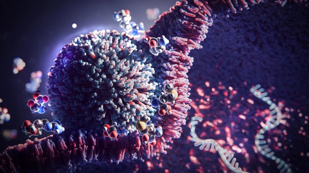 This simple 3-amino acid trick boosts mRNA therapy 20-fold | ScienceDaily