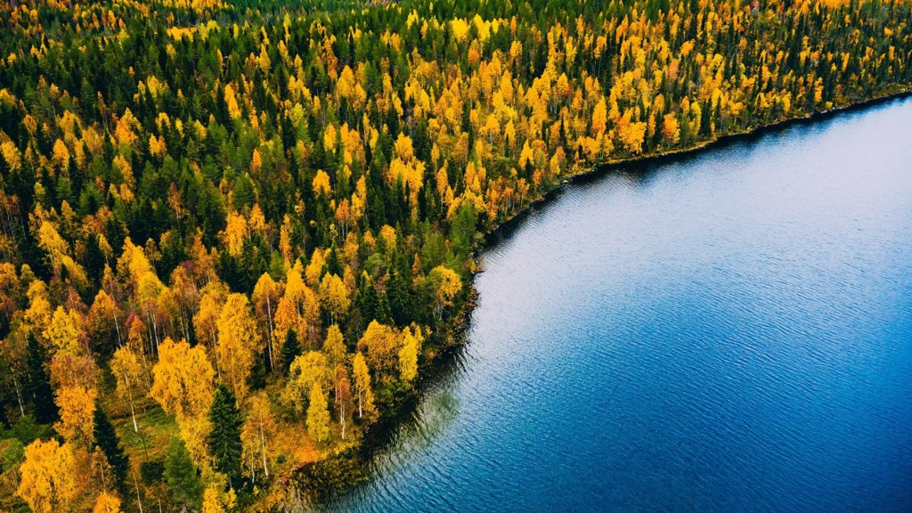 A “lost world” beneath the North Sea was once full of forests | ScienceDaily