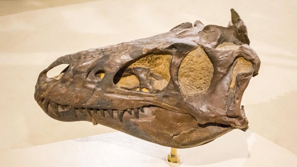 Scientists thought this was a young T. rex. They were wrong | ScienceDaily