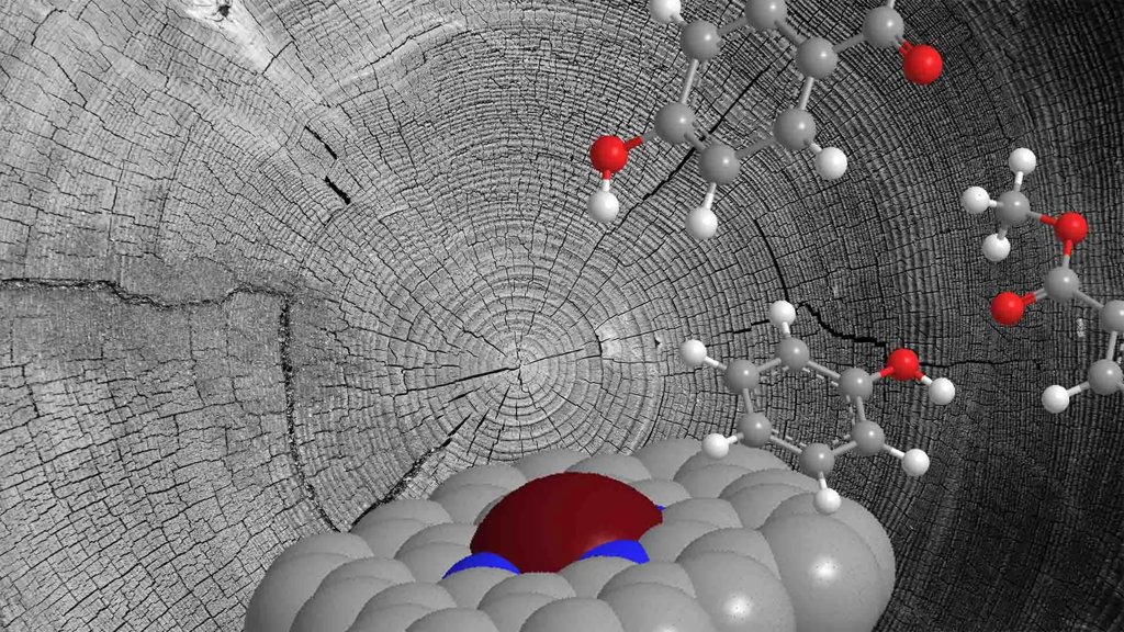 Atomic catalyst unlocks the hidden value of plant waste | ScienceDaily