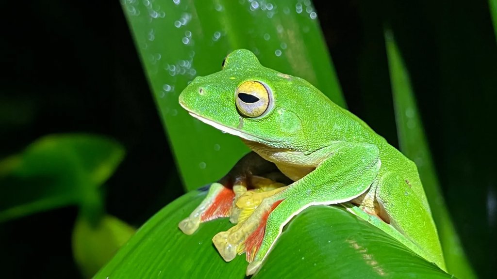 Scientists just found a surprising twist in Earth&rsquo;s extinction story | ScienceDaily