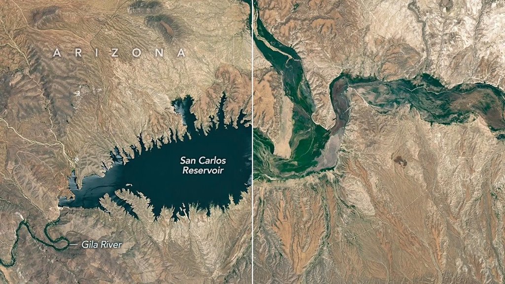 Arizona reservoir nearly vanishes after snowpack collapse triggers massive fish kill | ScienceDaily