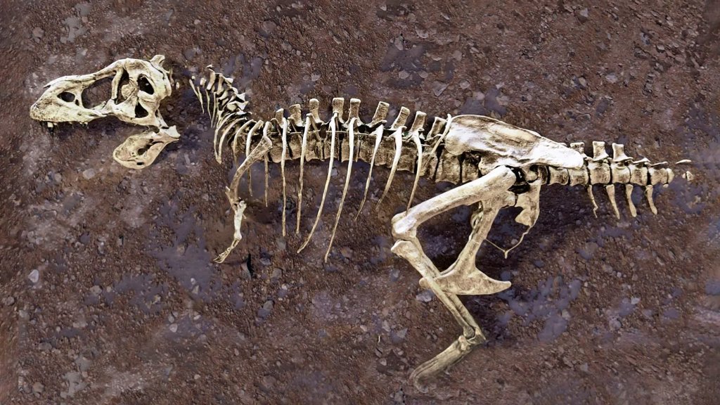 A broken rib from the world’s largest T. rex hid a 66-million-year-old secret | ScienceDaily