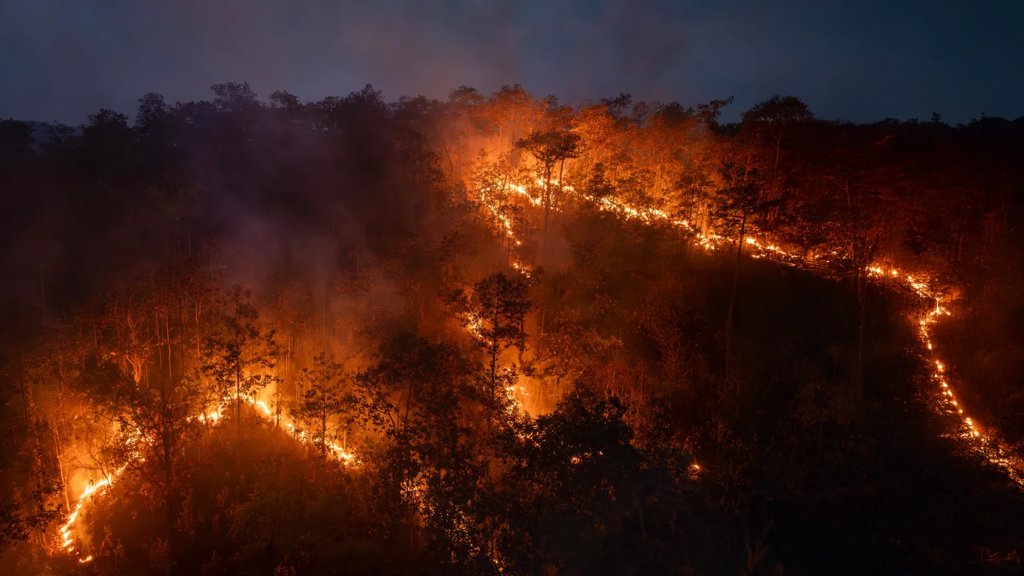 Record Amazon fires release more carbon than an entire country | ScienceDaily