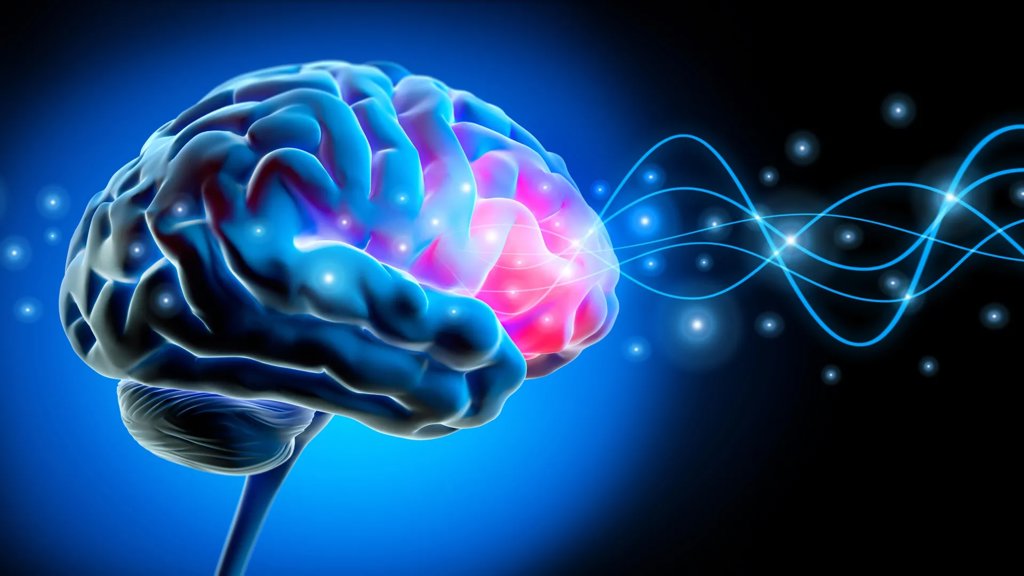 Scientists found the brain rhythm that makes your body feel like yours | ScienceDaily