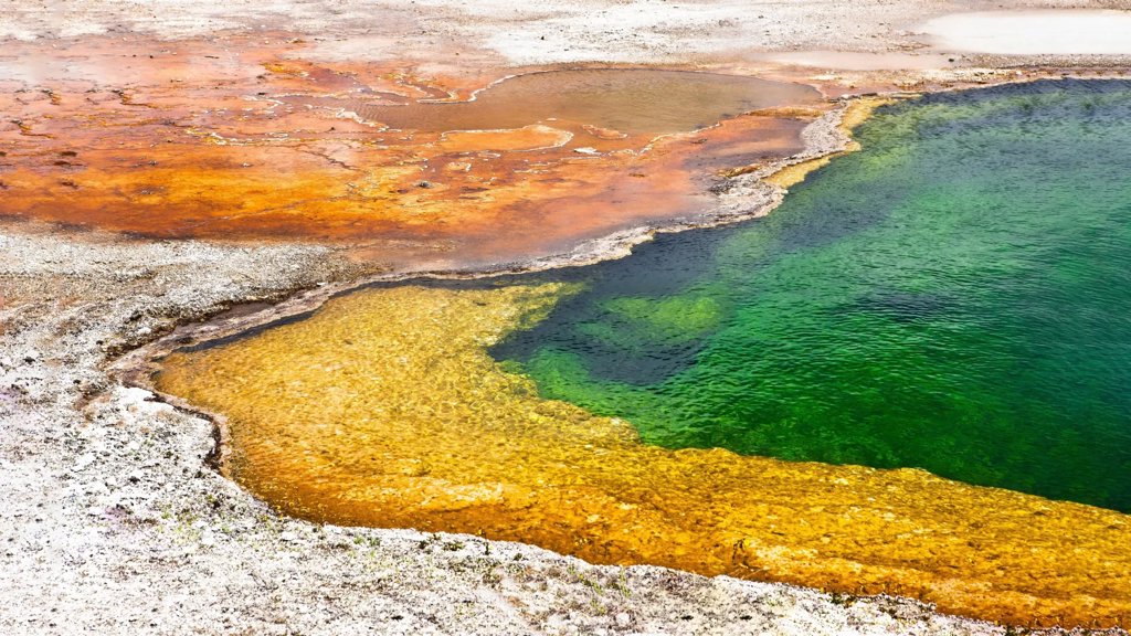 Japan&rsquo;s hot springs hold clues to the origins of life on Earth | ScienceDaily