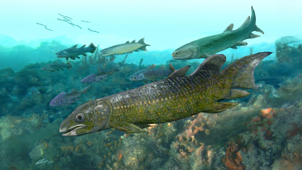 400 million-year-old fish fossils reveal how life began moving onto land | ScienceDaily