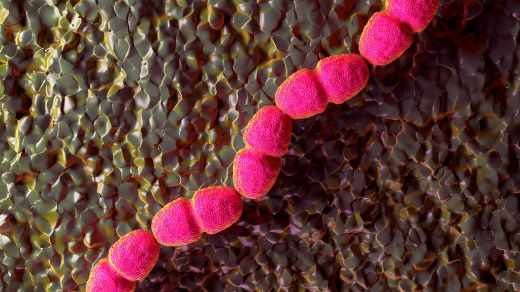 Scientists discover why some wounds refuse to heal | ScienceDaily