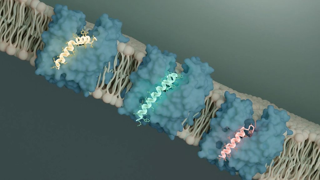 Scientists discover a bacterial kill switch and it could change the fight against superbugs | ScienceDaily