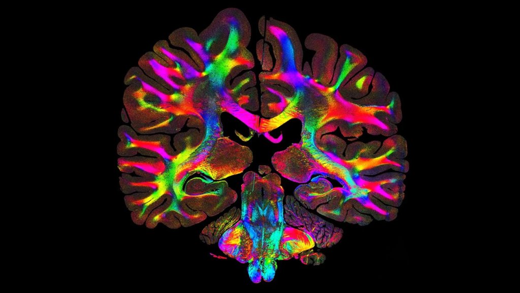 Simple light trick reveals hidden brain pathways in microscopic detail | ScienceDaily