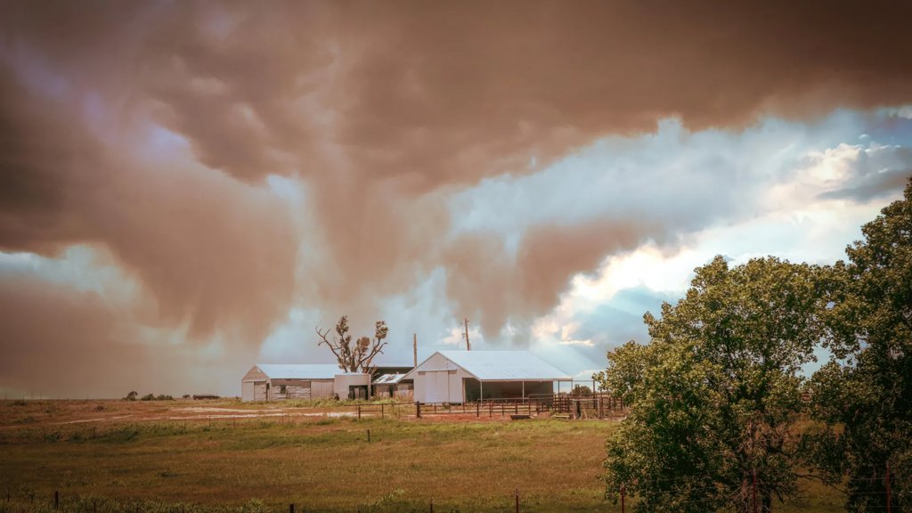 Unusual airborne toxin detected in the U.S. for the first time | ScienceDaily