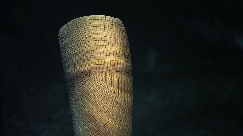 Scientists just solved a 160-million-year fossil mystery “I’ve never seen anything like it” | ScienceDaily