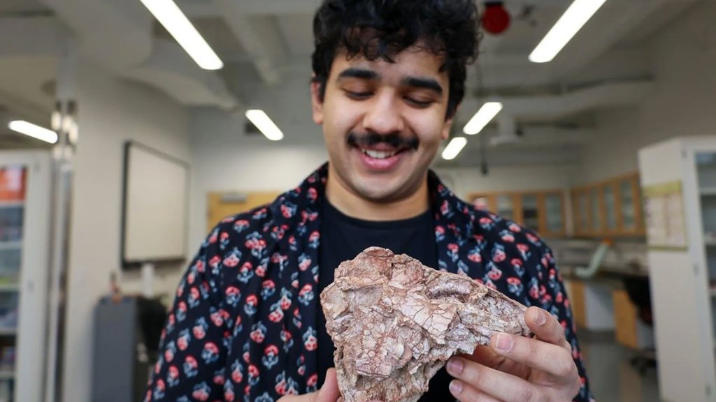 A crushed fossil revealed a dinosaur that shouldn’t have existed | ScienceDaily