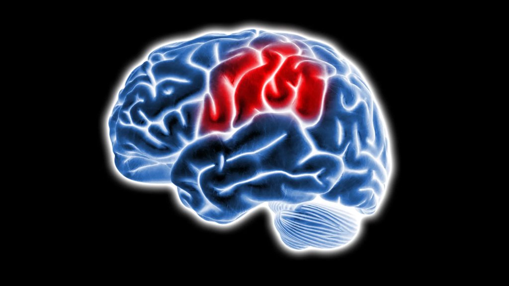 Scientists find hidden brain source that fuels dementia | ScienceDaily