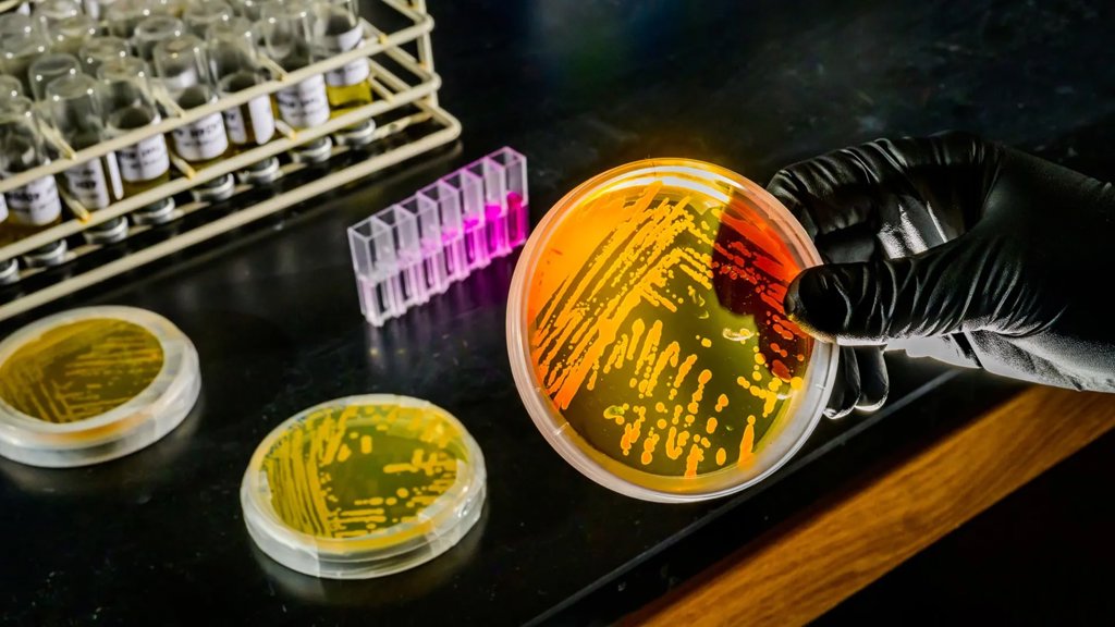 Ocean warming may supercharge a tiny microbe that controls marine nutrients | ScienceDaily