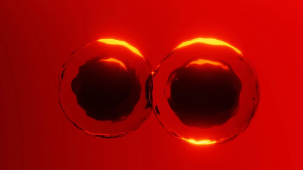 Textbooks challenged by new discovery about how cells divide | ScienceDaily