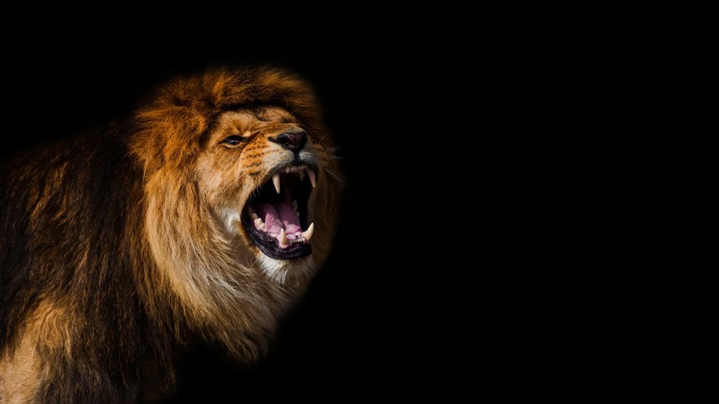 AI detects a secret lion roar no one knew existed | ScienceDaily