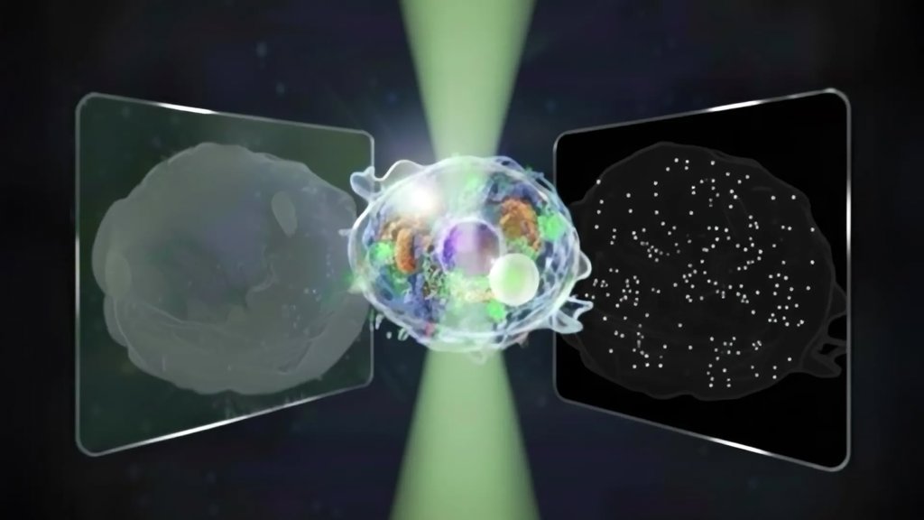 “Great Unified Microscope” reveals micro and nano worlds in a single view | ScienceDaily