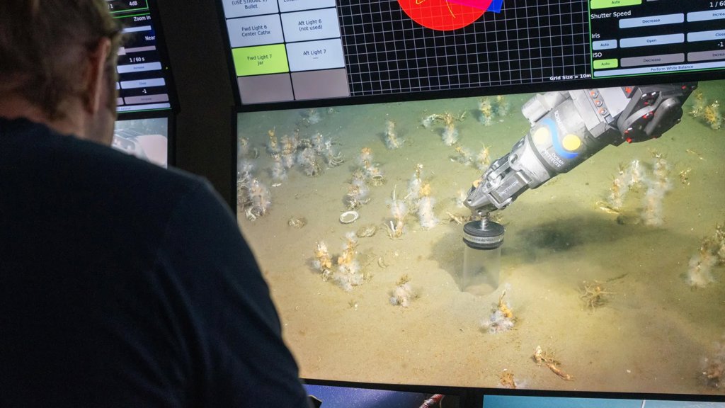 Scientists uncover oxygen-loving ancestor of all complex life | ScienceDaily