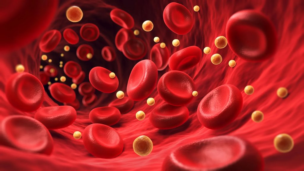 A hidden blood molecule may hold the secret to healthy aging and long life | ScienceDaily