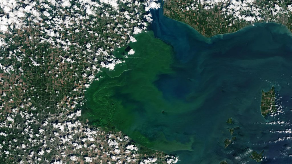 New research reveals the hidden organism behind Lake Erie’s toxic blooms | ScienceDaily