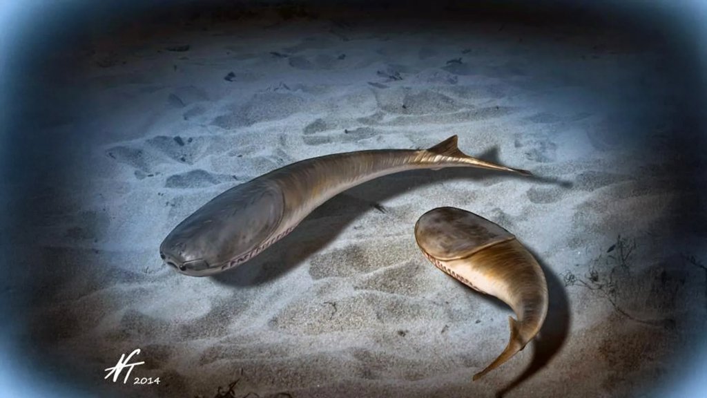 When the oceans died and life changed forever | ScienceDaily