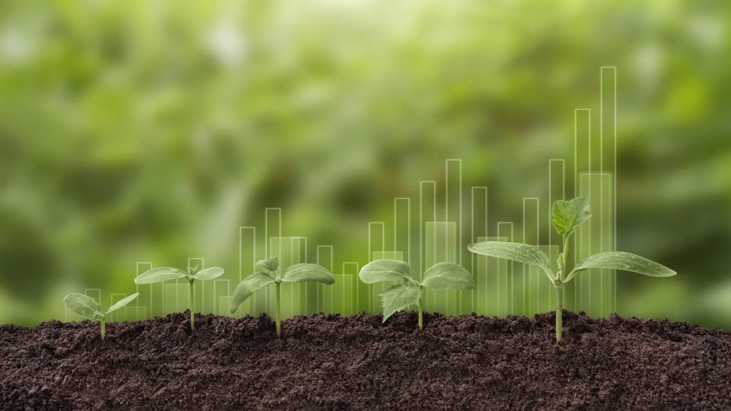 Plants can’t absorb as much CO2 as climate models predicted | ScienceDaily