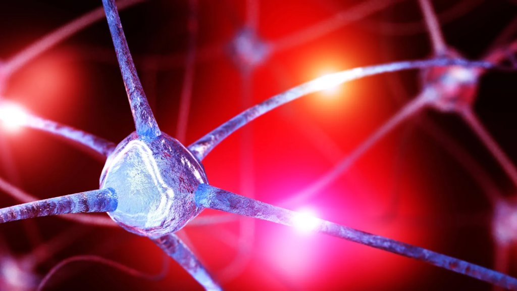 Scientists find hidden brain nutrient drop that may fuel anxiety | ScienceDaily