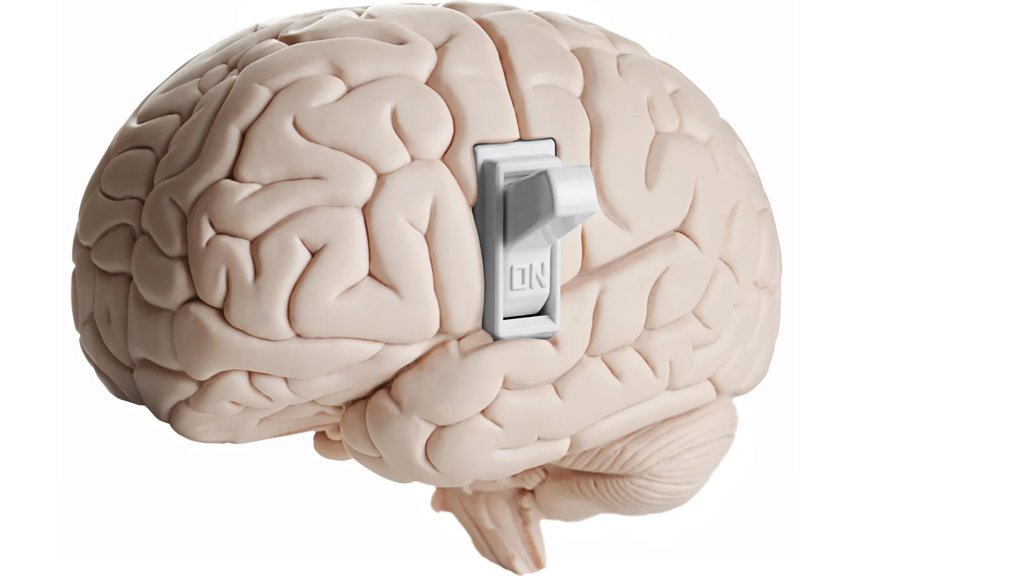 Scientists discover hidden brain switch that tells you to stop eating | ScienceDaily