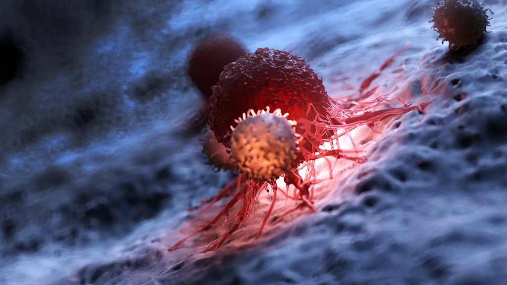 The hidden reason cancer immunotherapy often fails | ScienceDaily