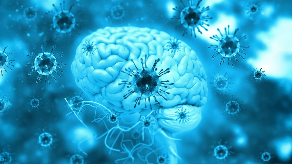 A common parasite in the brain is far more active than we thought | ScienceDaily