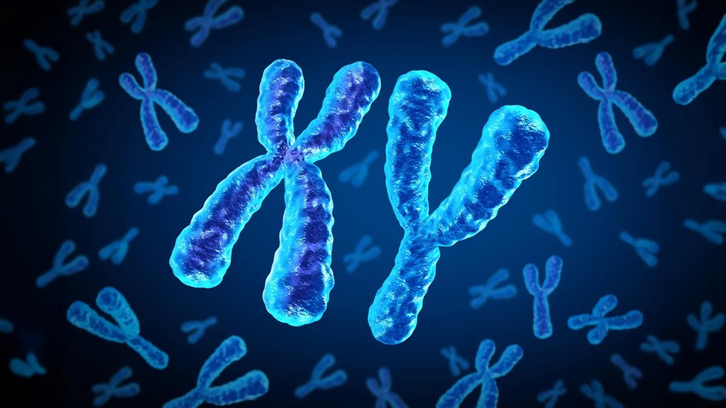 Why heart disease risk in type 2 diabetes looks different for men and women | ScienceDaily