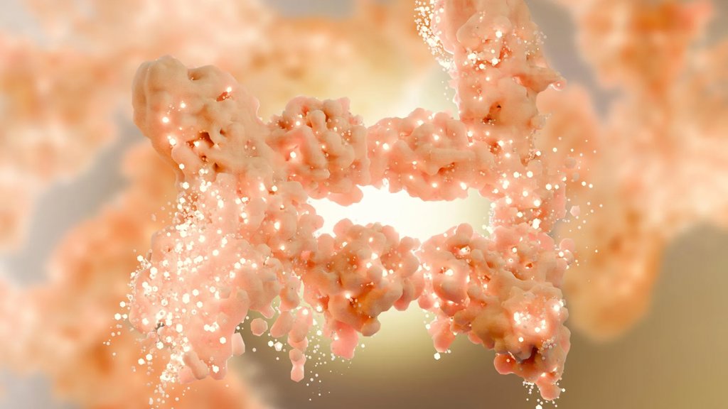 New obesity discovery rewrites decades of fat metabolism science | ScienceDaily
