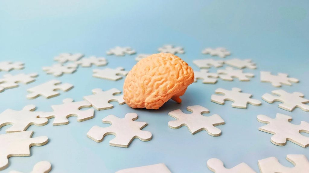Scientists just solved a major mystery about how your brain stores memories | ScienceDaily