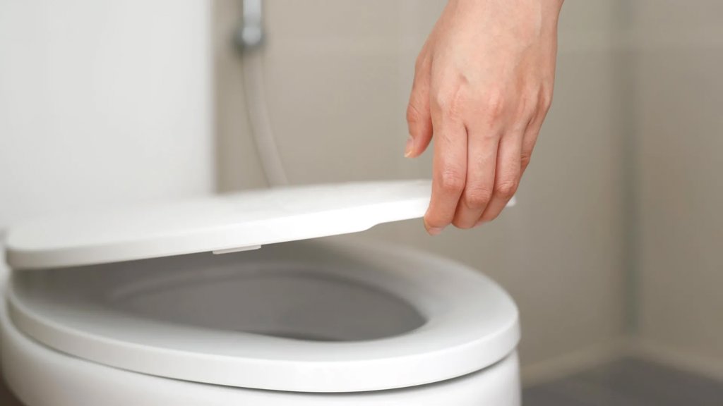The dirtiest thing in public bathrooms isn’t the toilet seat | ScienceDaily