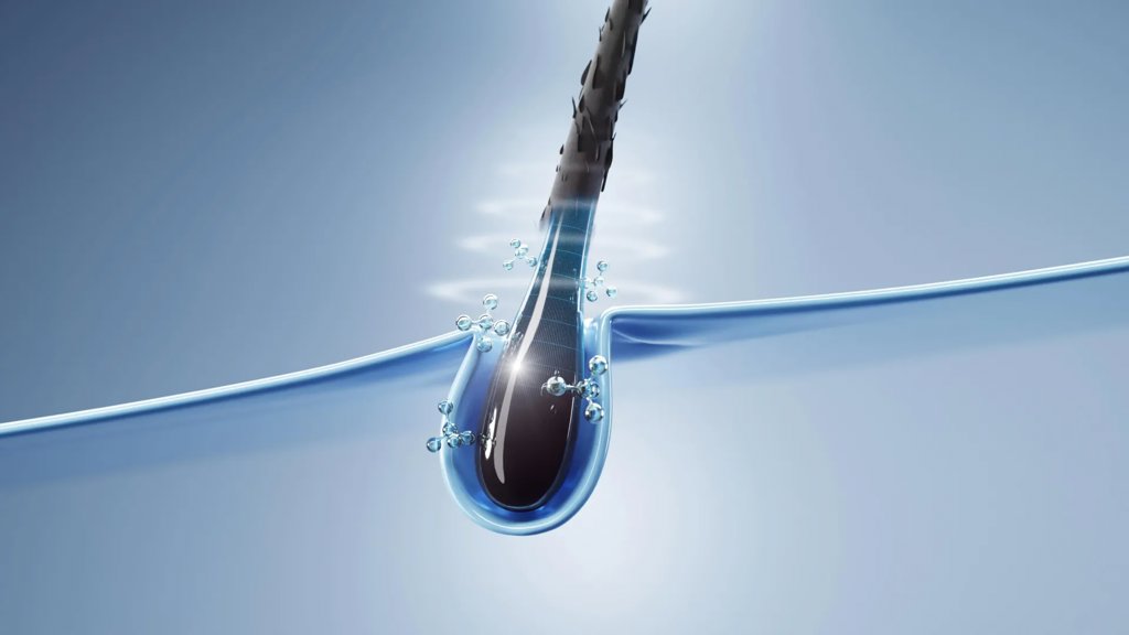 Scientists discover how hair cells can help heal skin faster | ScienceDaily