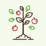 apple-trees