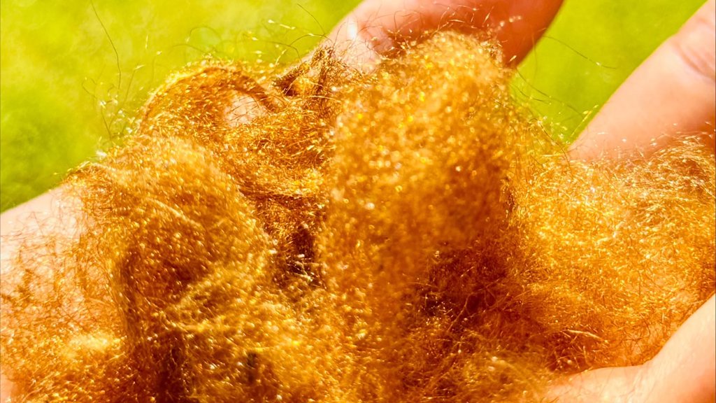 A legendary golden fabric lost for 2,000 years has been brought back | ScienceDaily